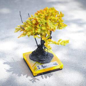 CAUSTIC STAND RE BONSAI (Yellow)